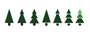 Weihnachtsbaum mieten in Stuttgart 🌲 7 Preise Konditionen Weihnachtsbaeume Miete