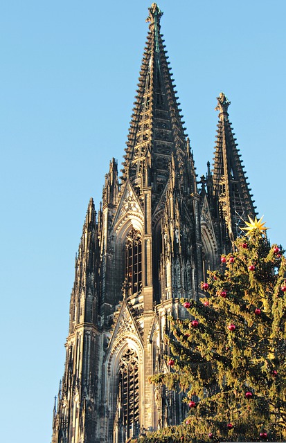 Weihnachtsbaum mieten Köln Infos Angebote