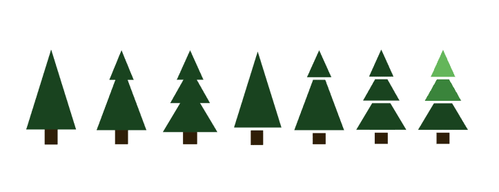 Fichte ist ideale Nadelbaumart für Weihnachtsbaum im Topf (wegen flachen flexiblen Wurzeln)
