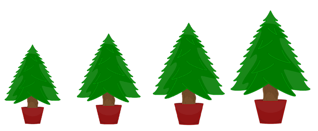 relativ kleiner Weihnachtsbaum im Topf für mehrere Jahre als nachhaltigste Variante