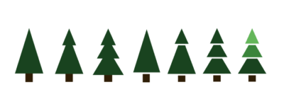 Echten kleinen Weihnachtsbaum im Topf kaufen🌲 1